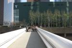 Hikers cluster on a pedestrian bridge to discuss the city’s redevelopment plans, which shaped the surrounding habitat.